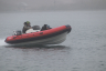 РИБ FORTIS 450RV 